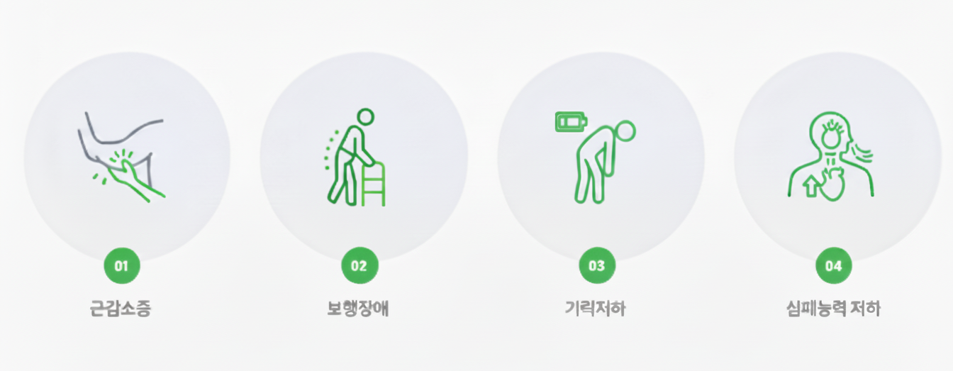 노인운동프로그램 대상자